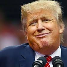 Image result for trump looking fatter