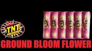 ground bloom flower tnt fireworks