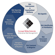 erm program framework risk operations