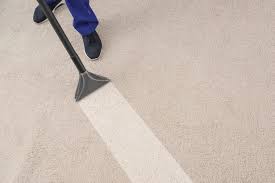 carpet cleaning in high traffic