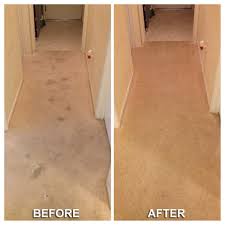 carpet cleaning m s chem dry in omaha