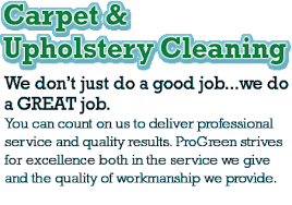 carpet and upholstery cleaning pet