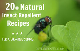 20 homemade insect repellent recipes