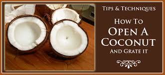 Situate your coconut in a bed of rocks. How To Open A Coconut Taste Of Southern