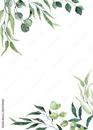 watercolor botanical frame green leaf