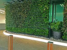 Vertical Garden Living Green Wall
