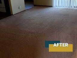 1 carpet cleaning in pasco 5 star
