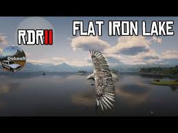 the eagle flying around flat iron lake