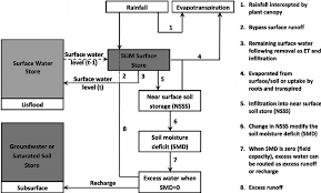 Flow Chart For Partitioning Of Water At The Soil Surface