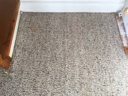carpet steam cleaning auckland kiwi
