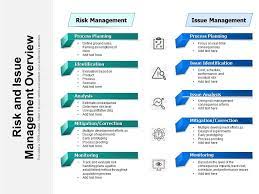 risk and issue management overview