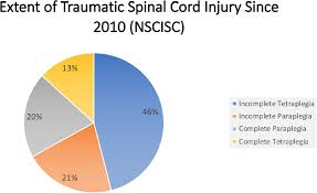 Economic Impact Of Traumatic Spinal Cord Injuries In The