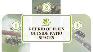Get Rid Of Flies Outside Patio Areas