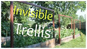 a raised bed trellis system