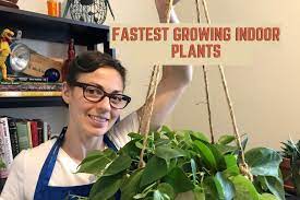 The Fastest Growing Houseplants