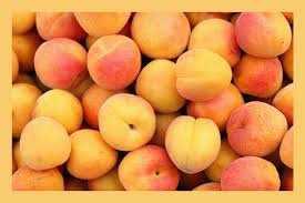 apricot benefits and nutrition