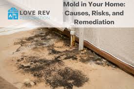 Mold In Your Home Causes Risks And