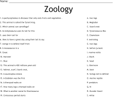 zoology worksheet wordmint