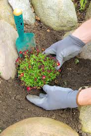 To build on level ground either dig down or create a small mound. Rockery Soil Mixes Tips On Soil Prepping A Rock Garden Bed