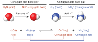 Image result for acid base chemistry
