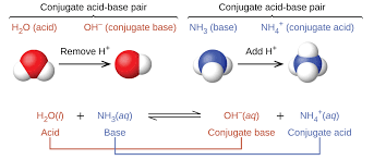 15 1 Classifications Of Acids And Bases Chemistry Libretexts