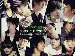 Super junior's 3rd album sorry, sorry has been released. Super Junior 13 2 Home Facebook