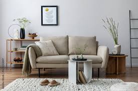 beige sofa plants shelf
