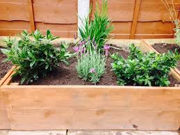 The Ultimate Guide To Raised Beds
