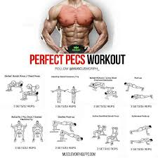 huge chest exercises