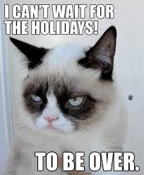 Bright side of Frozen Grumpy Cat Meme via Relatably.com