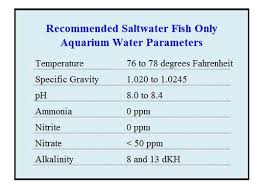 Saltwater Aqusaltwater Aquarium Water Parameters Arium Water