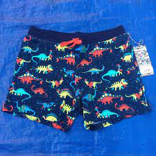 Rare Men's Chubbies Swim Shorts Size Large Vintage Dinosaur Hawaiian New |  eBay