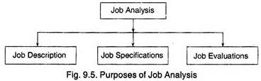 job ysis meaning uses and process
