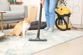 is it safe to vacuum cat litter facts