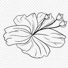 tropical flower line art flower