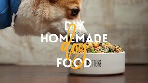 diy homemade dog food delicious