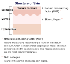 amino acids for skin and hair amino
