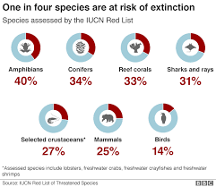 Nature Crisis Humans Threaten 1m Species With Extinction