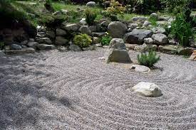 Best Zen Plants Zen Planters Ideas