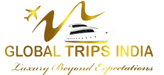 about global trips india tour and