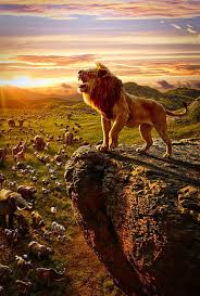 lion king hd wallpapers pxfuel