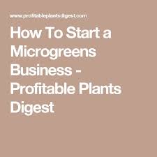 how to start a microgreens business