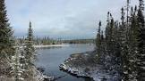 boreal image / تصویر