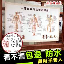 Usd 4 19 Human Meridian Acupuncture Chart Large Wall Chart