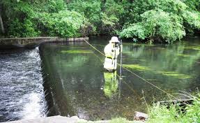 Stream Discharge Measurement Nissequogue River Long Island Ny