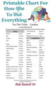 How Often Should I Wash Everything Printable Chart