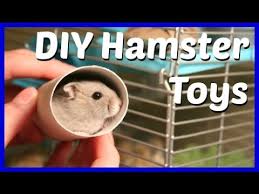 Diy Paper Roll Hamster Toys You