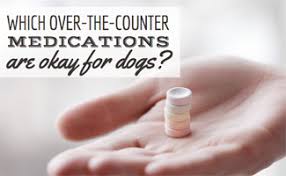 Which Over The Counter Medications Are Safe For Dogs