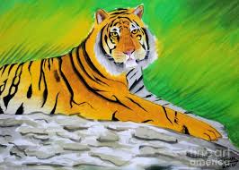 It can be used at bookstores, dining facilities, laundry and vending locations, copy centers, and other student services. Save Tiger Greeting Card For Sale By Tanmay Singh