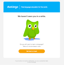 we miss you duolingo email newsletter